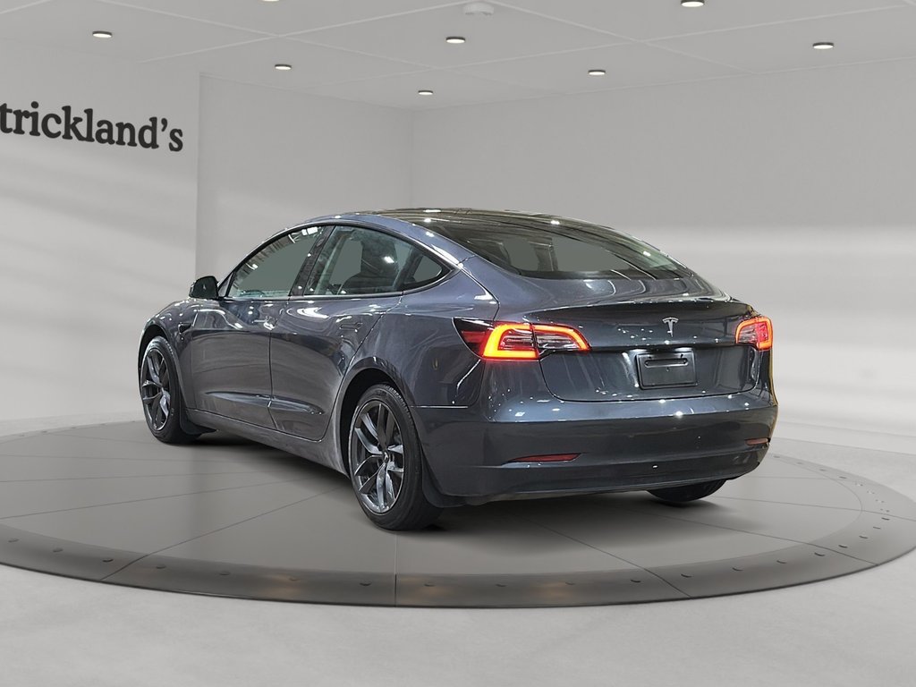 2023 Tesla Model 3 Standard Range Plus in Brantford, Ontario - 4 - w1024h768px