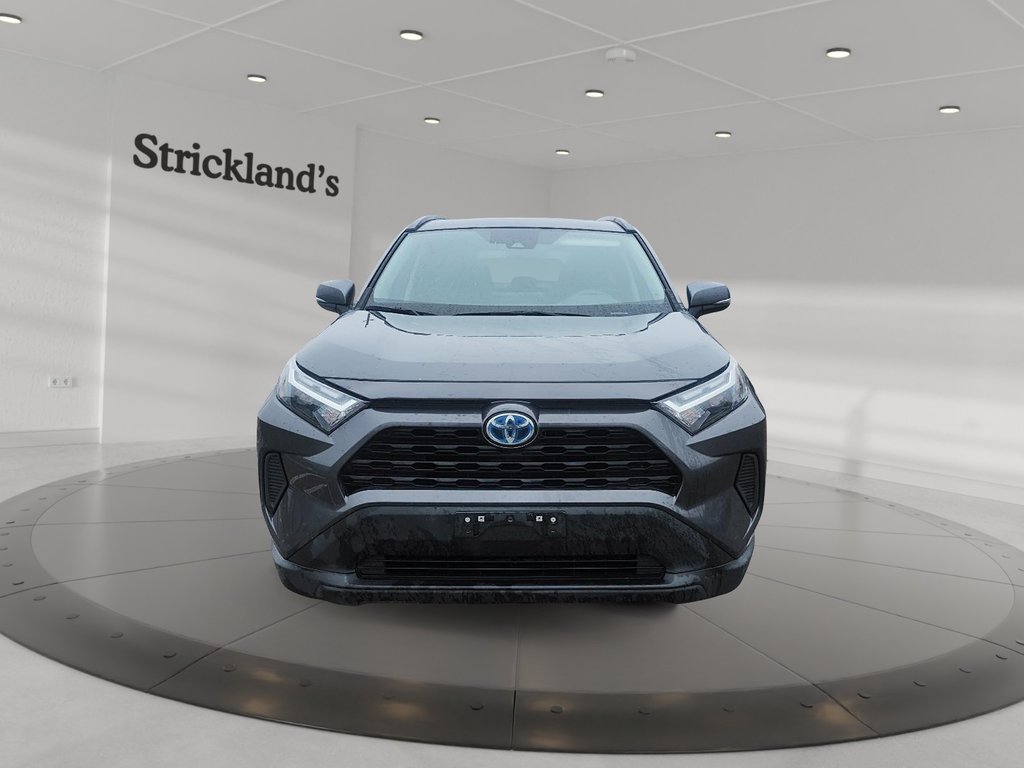 2023 Toyota RAV4 Hybrid XLE AWD in Brantford, Ontario - 2 - w1024h768px