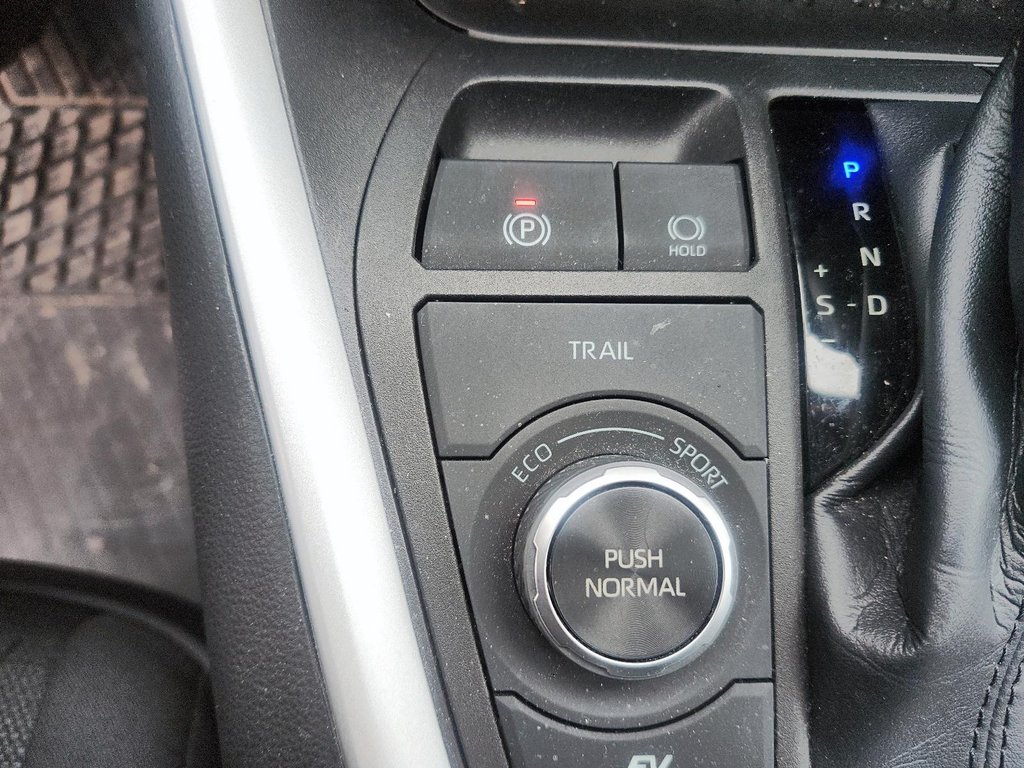 2023 Toyota RAV4 Hybrid XLE AWD in Brantford, Ontario - 15 - w1024h768px