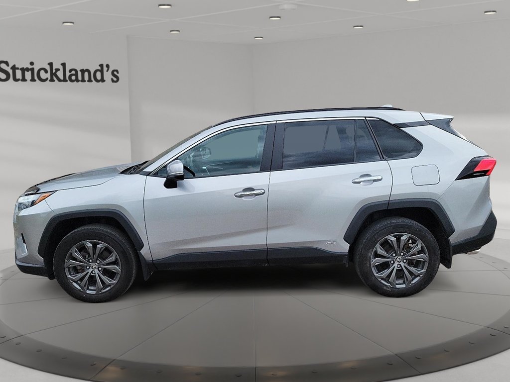 2023 Toyota RAV4 Hybrid Limited AWD in Brantford, Ontario - 5 - w1024h768px