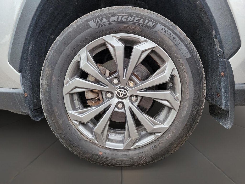 2023 Toyota RAV4 Hybrid Limited AWD in Brantford, Ontario - 7 - w1024h768px