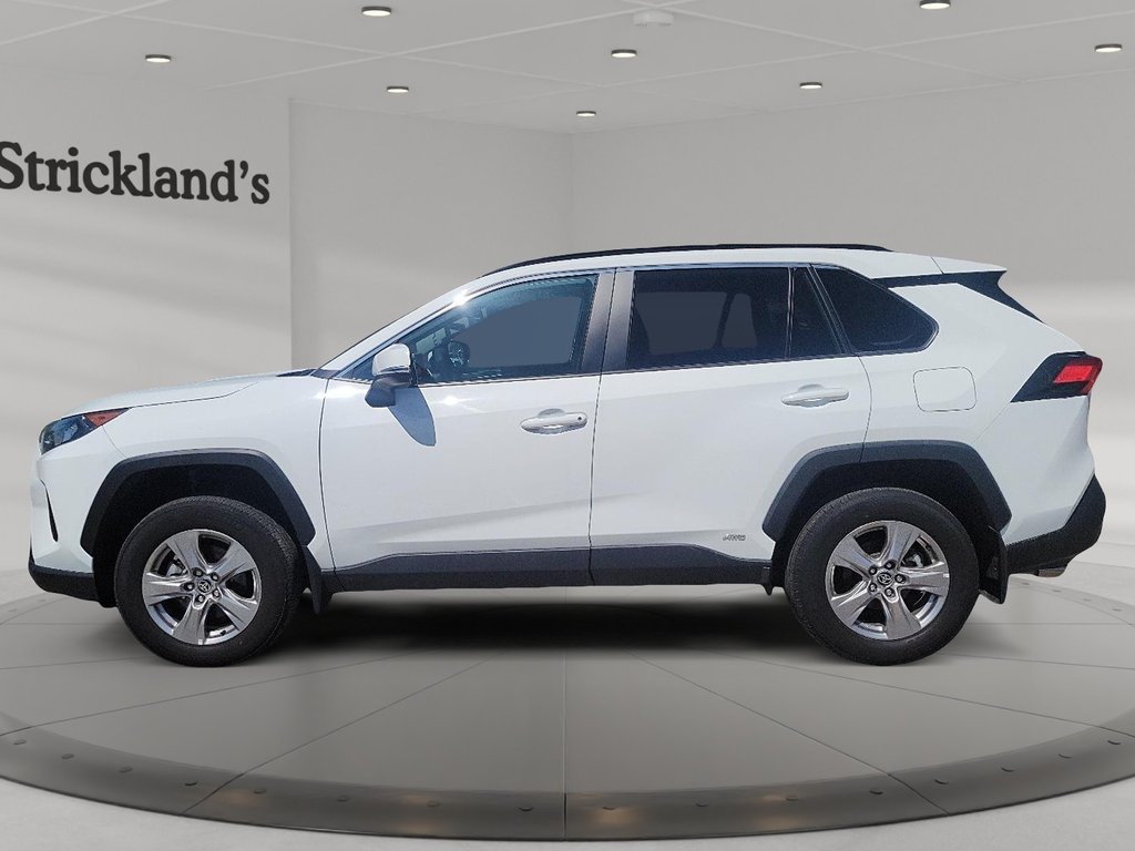 2025 Toyota RAV4 Hybrid LE AWD in Brantford, Ontario - 5 - w1024h768px