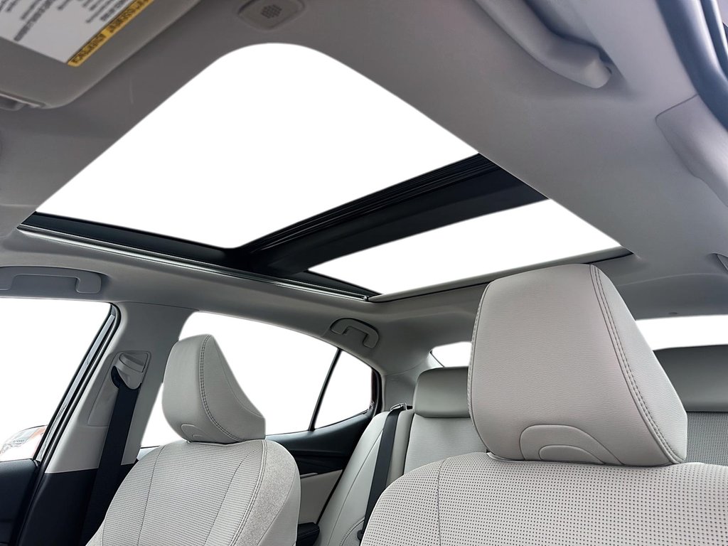 2025 Toyota Camry Hybrid XLE AWD in Stratford, Ontario - 15 - w1024h768px