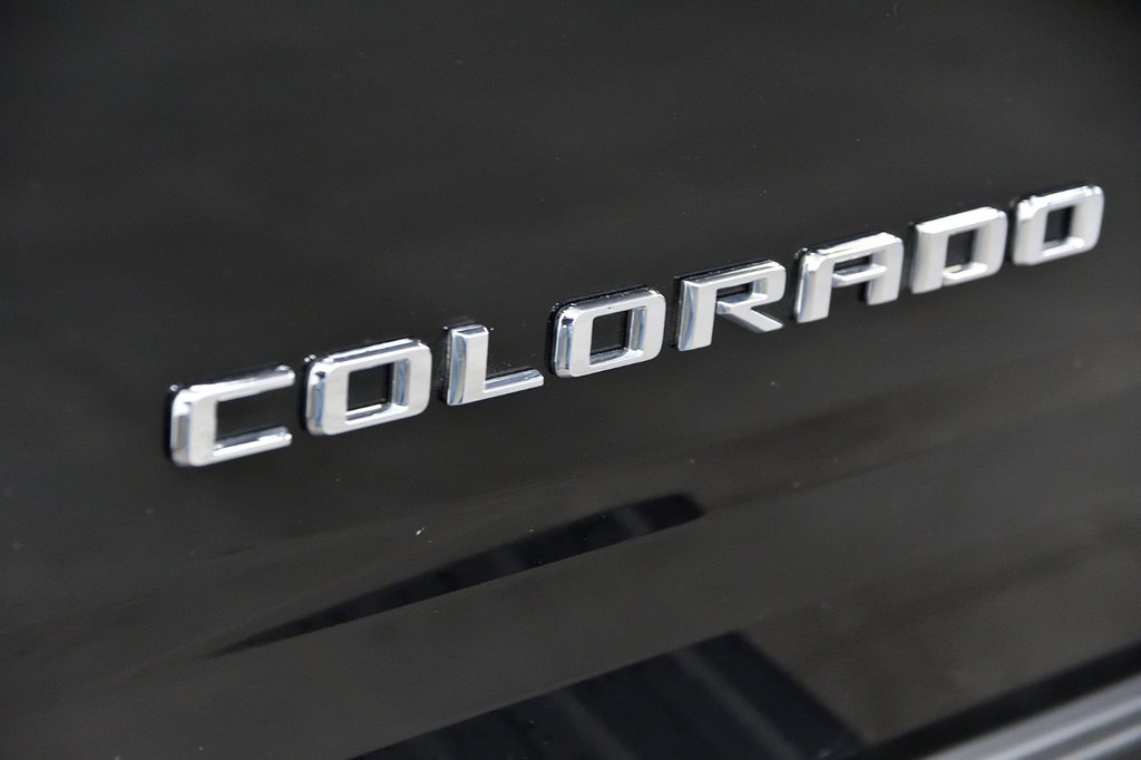 2021 Chevrolet Colorado 4WD Work Truck in Sainte-Julie, Quebec - 25 - w1024h768px