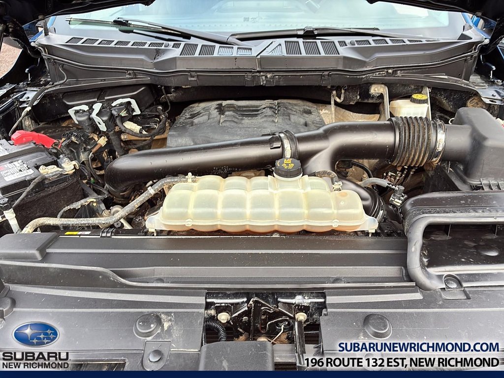 Ford F-150 XLT cabine SuperCrew 4RM caisse de 6,5 pi 2022 à New Richmond, Québec - 15 - w1024h768px