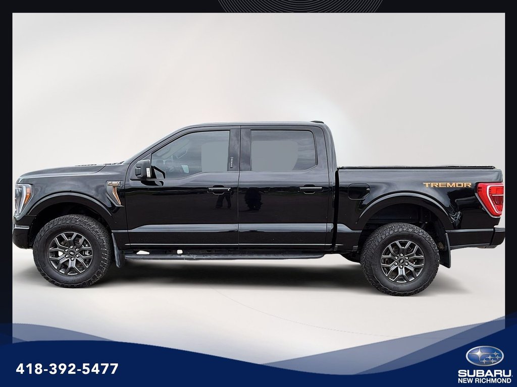 Ford F-150 Tremor cabine SuperCrew 4RM caisse de 5,5 pi 2023 à New Richmond, Québec - 9 - w1024h768px