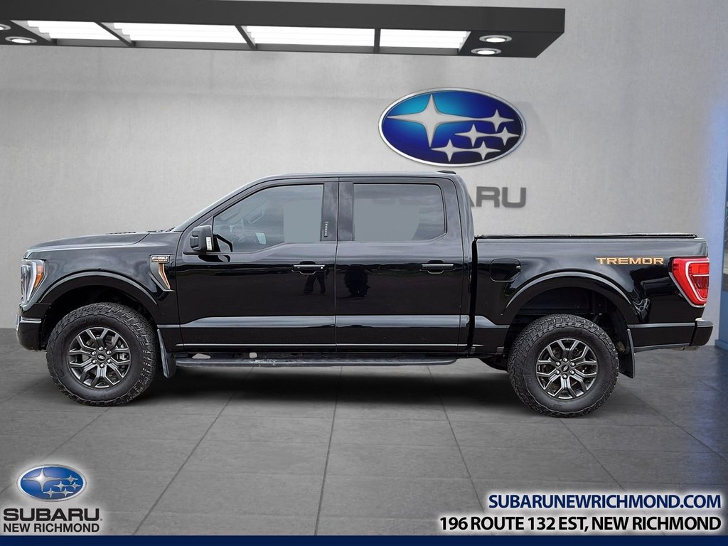Ford F-150 Tremor cabine SuperCrew 4RM caisse de 5,5 pi 2023 à New Richmond, Québec - 9 - w1024h768px