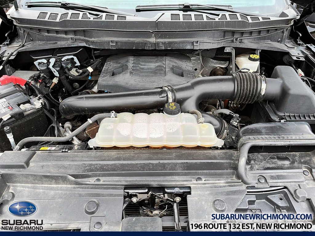 Ford F-150 Tremor cabine SuperCrew 4RM caisse de 5,5 pi 2023 à New Richmond, Québec - 13 - w1024h768px