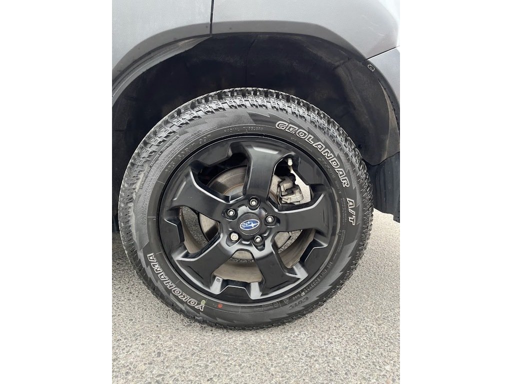 2023 Subaru Forester Wilderness in Kingston, Ontario - 6 - w1024h768px