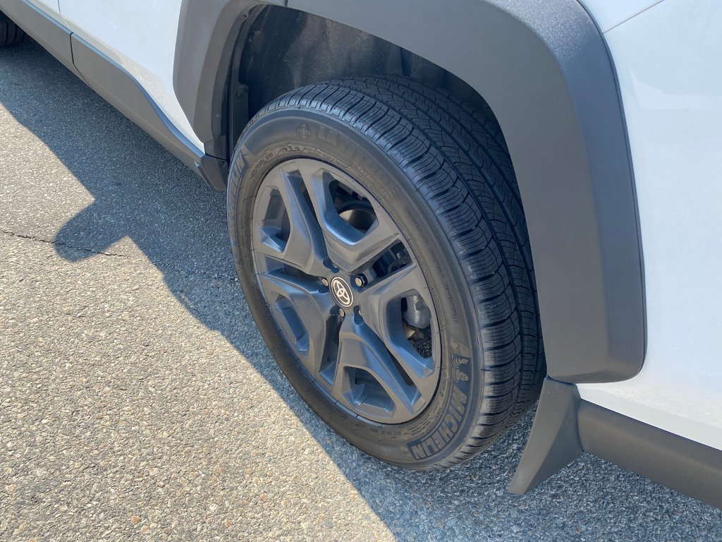 2022 Toyota RAV4 TRAIL AWD Trail in Kamloops, British Columbia - 9 - w1024h768px