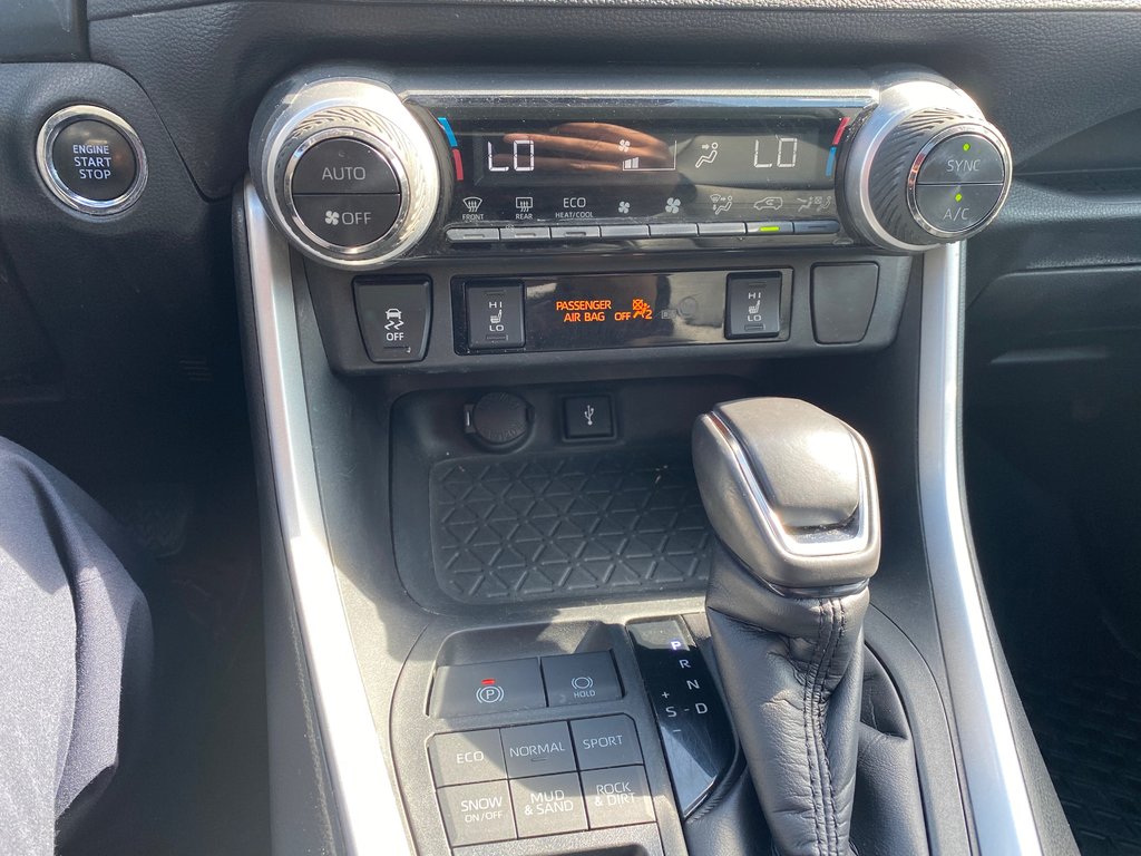 2020 Toyota RAV4 XLE Premium in Kamloops, British Columbia - 16 - w1024h768px