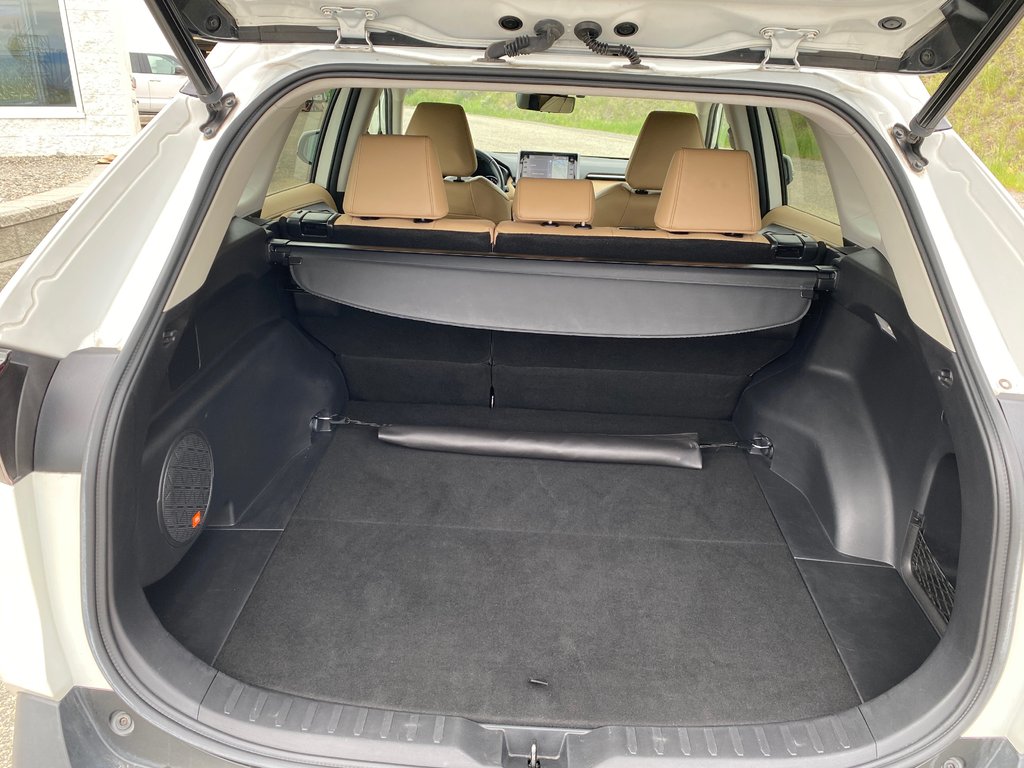 2021 Toyota RAV4 Limited in Kamloops, British Columbia - 10 - w1024h768px