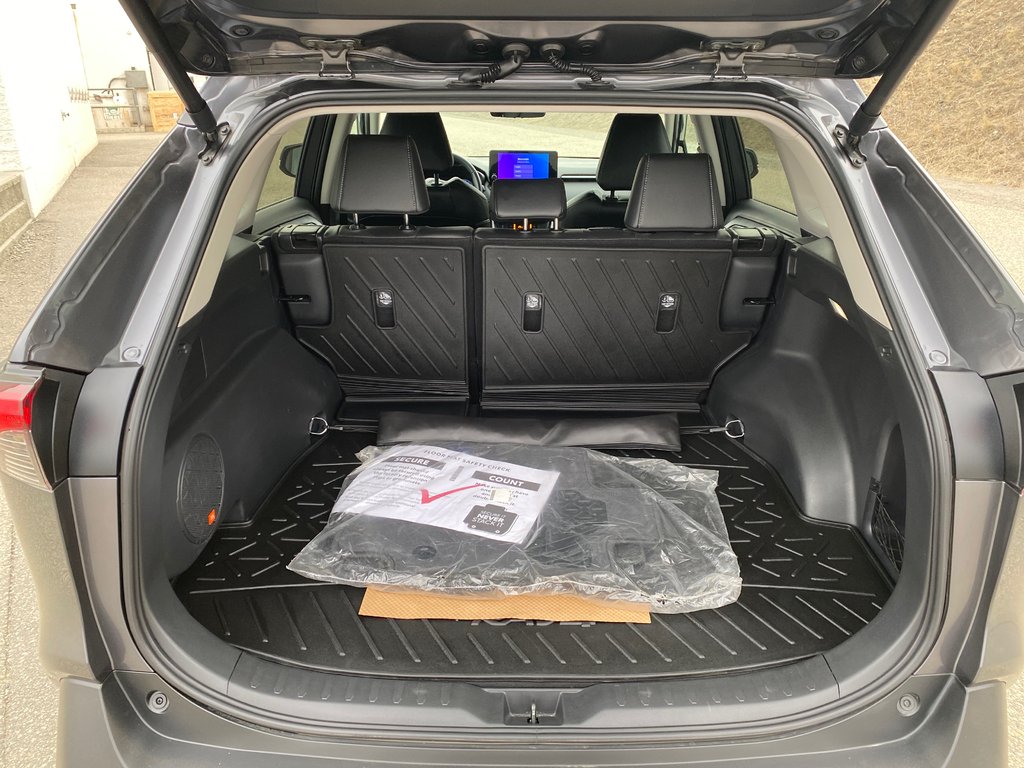 2024 Toyota RAV4 Limited in Kamloops, British Columbia - 11 - w1024h768px