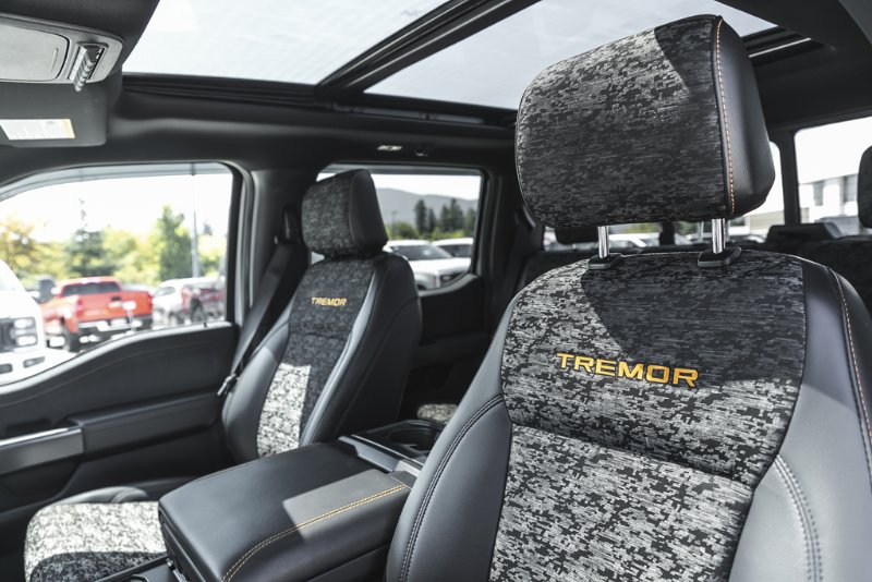 2025 Ford F-150 Tremor in Nanaimo, British Columbia - 27 - w1024h768px