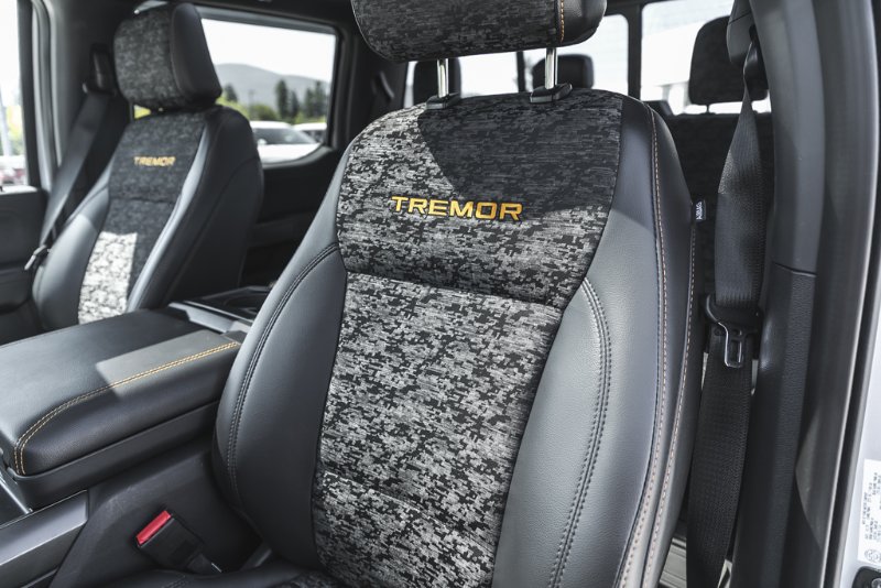 2025 Ford F-150 Tremor in Nanaimo, British Columbia - 26 - w1024h768px