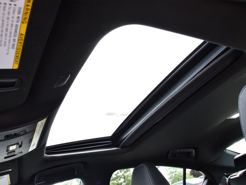 2023 Lexus IS 300 in Mississauga, Ontario - 11 - w1024h768px