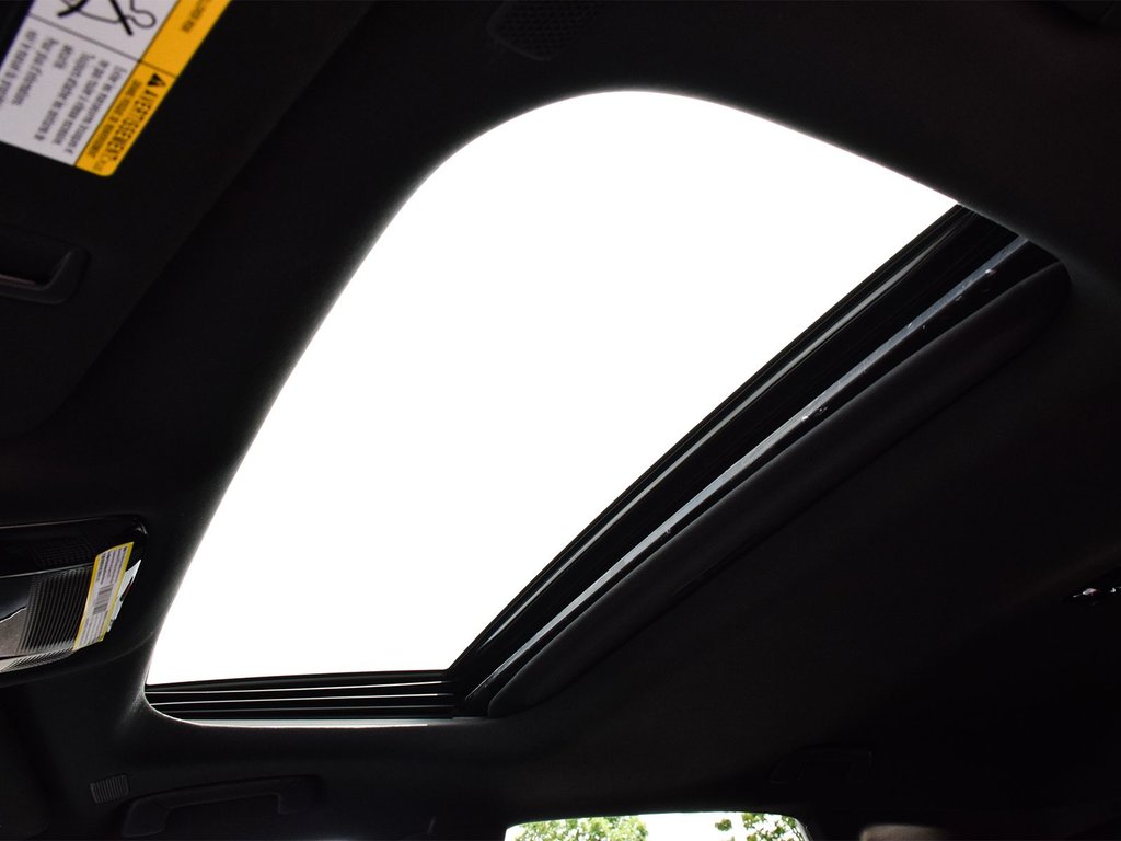 2024 Lexus RX 350h in Mississauga, Ontario - 10 - w1024h768px