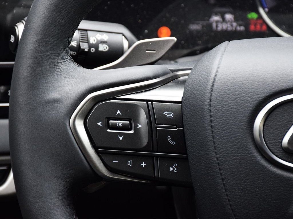 2024 Lexus RX 350h in Mississauga, Ontario - 19 - w1024h768px