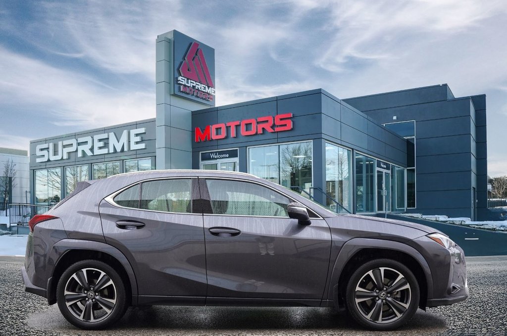 2023 Lexus UX 250H in Mississauga, Ontario - 8 - w1024h768px