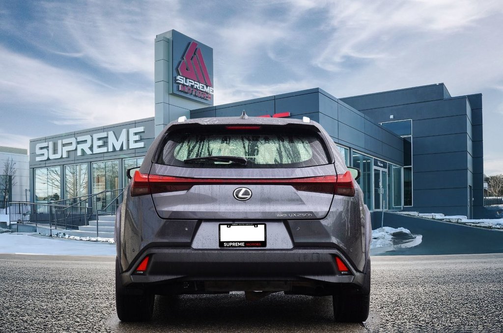 2023 Lexus UX 250H in Mississauga, Ontario - 7 - w1024h768px