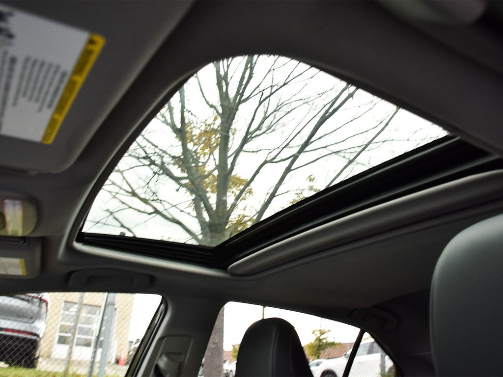 2023 Toyota Camry Hybrid XLE in Mississauga, Ontario - 10 - w1024h768px