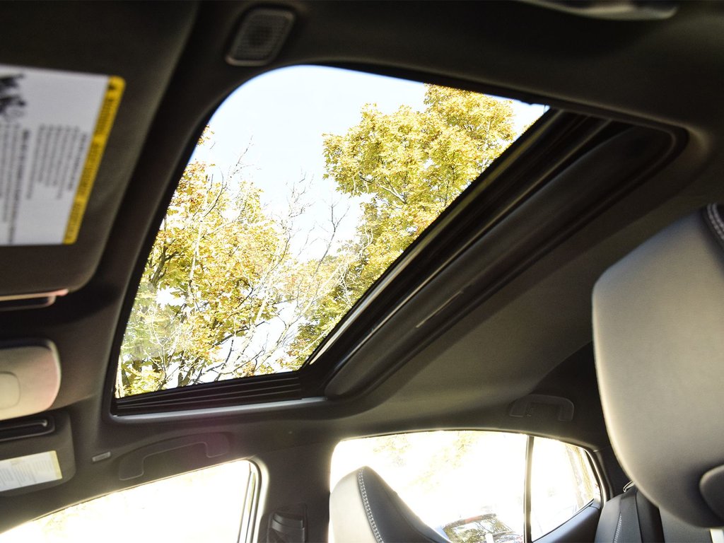 2026 Toyota Camry SE Upgrade in Mississauga, Ontario - 11 - w1024h768px