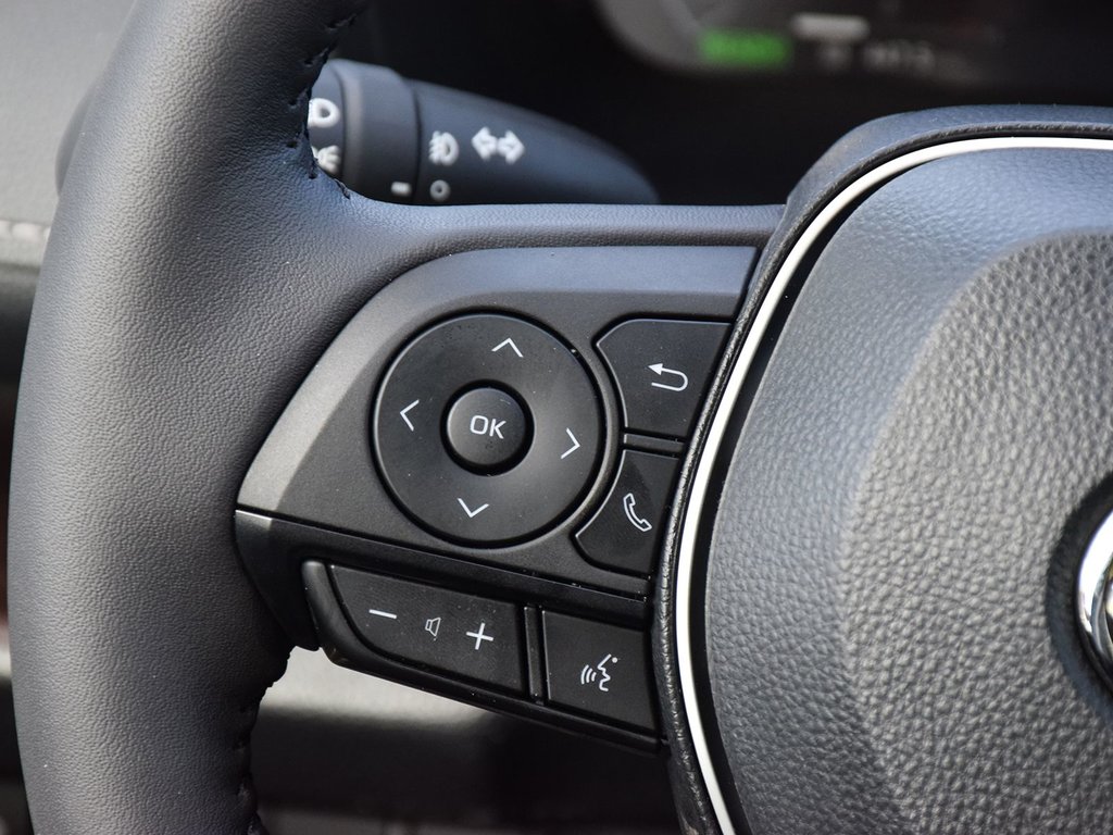 2025 Toyota RAV4 Hybrid Hybrid Limited AWD in Mississauga, Ontario - 19 - w1024h768px