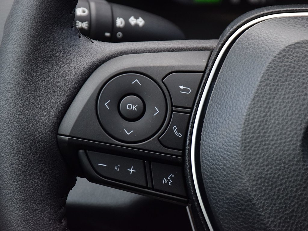 2025 Toyota RAV4 Hybrid Limited AWD in Mississauga, Ontario - 20 - w1024h768px