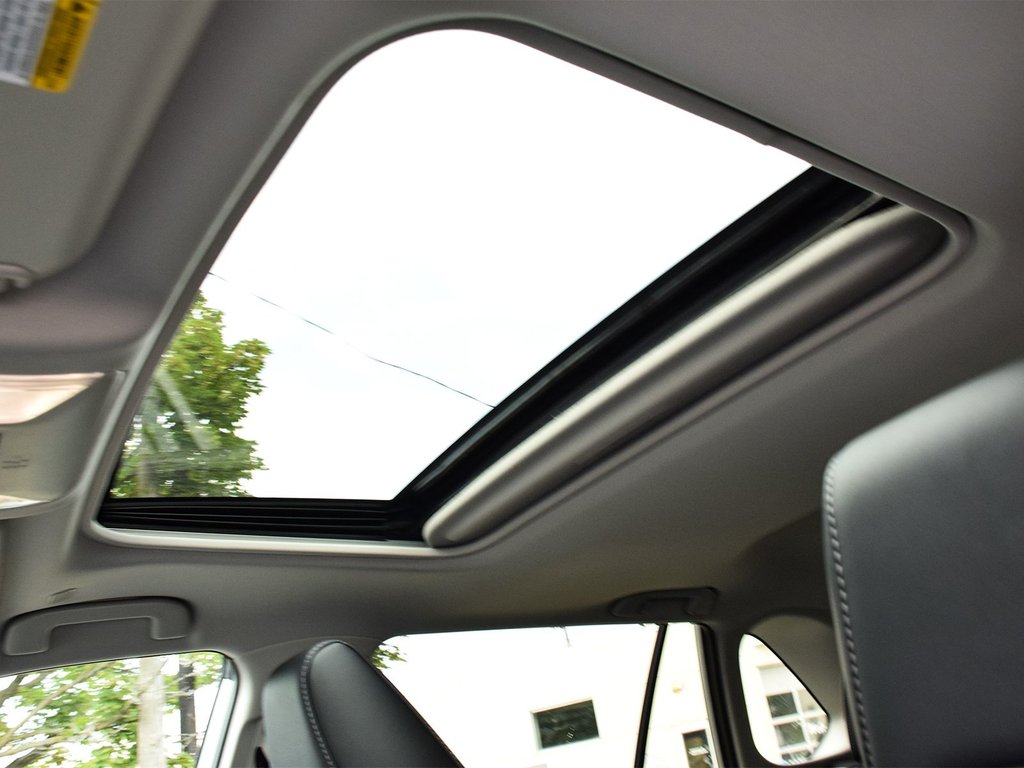 2025 Toyota RAV4 Hybrid XLE Premium in Mississauga, Ontario - 10 - w1024h768px