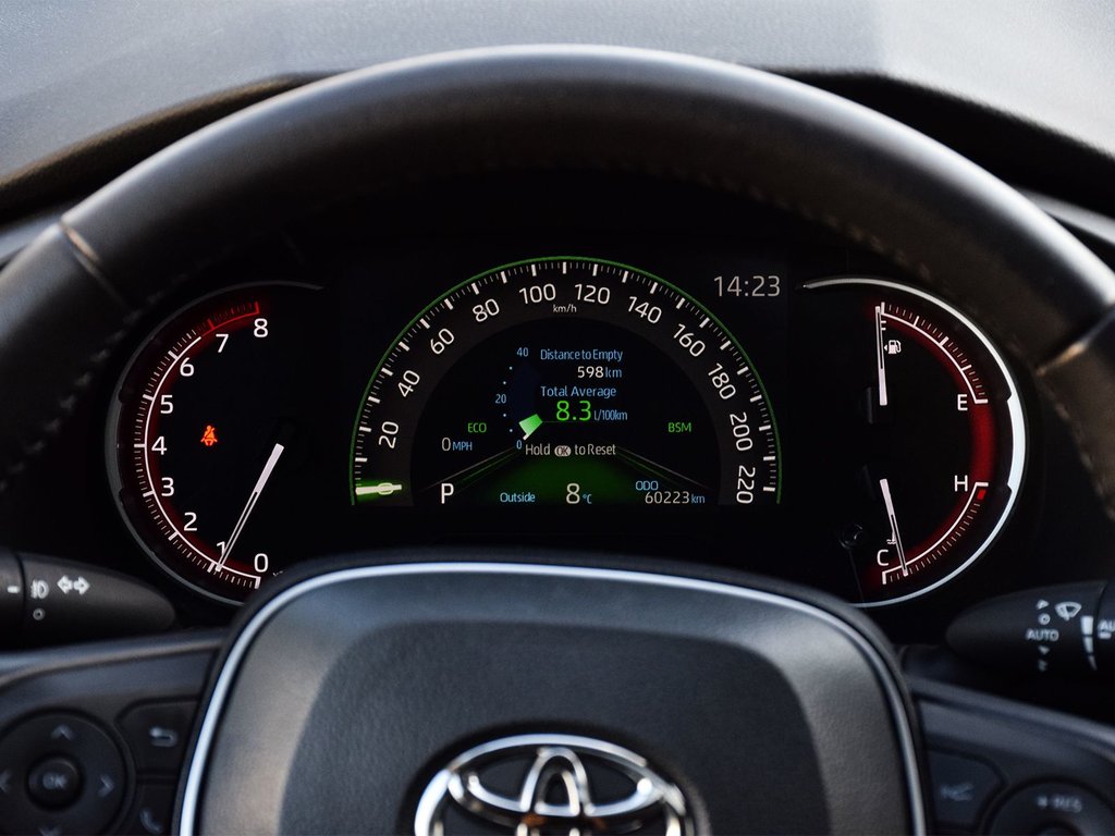 2022 Toyota RAV4 Trail in Mississauga, Ontario - 20 - w1024h768px