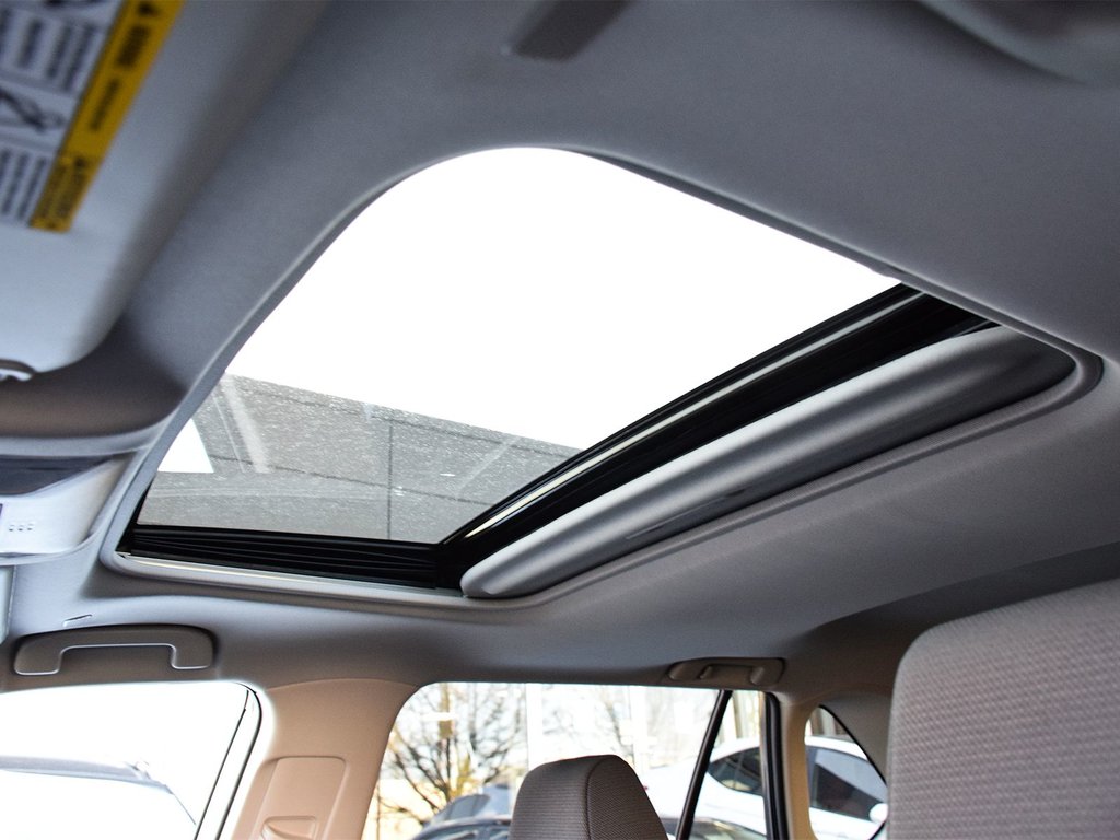 2025 Toyota RAV4 Hybrid XLE in Mississauga, Ontario - 9 - w1024h768px