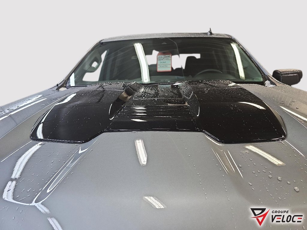 Chevrolet Silverado 1500 Custom Trail Boss 2026 à Rivière-du-Loup, Québec - 16 - w1024h768px