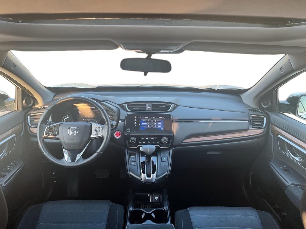 2019 Honda CR-V in Quebec, Quebec - 7 - w1024h768px