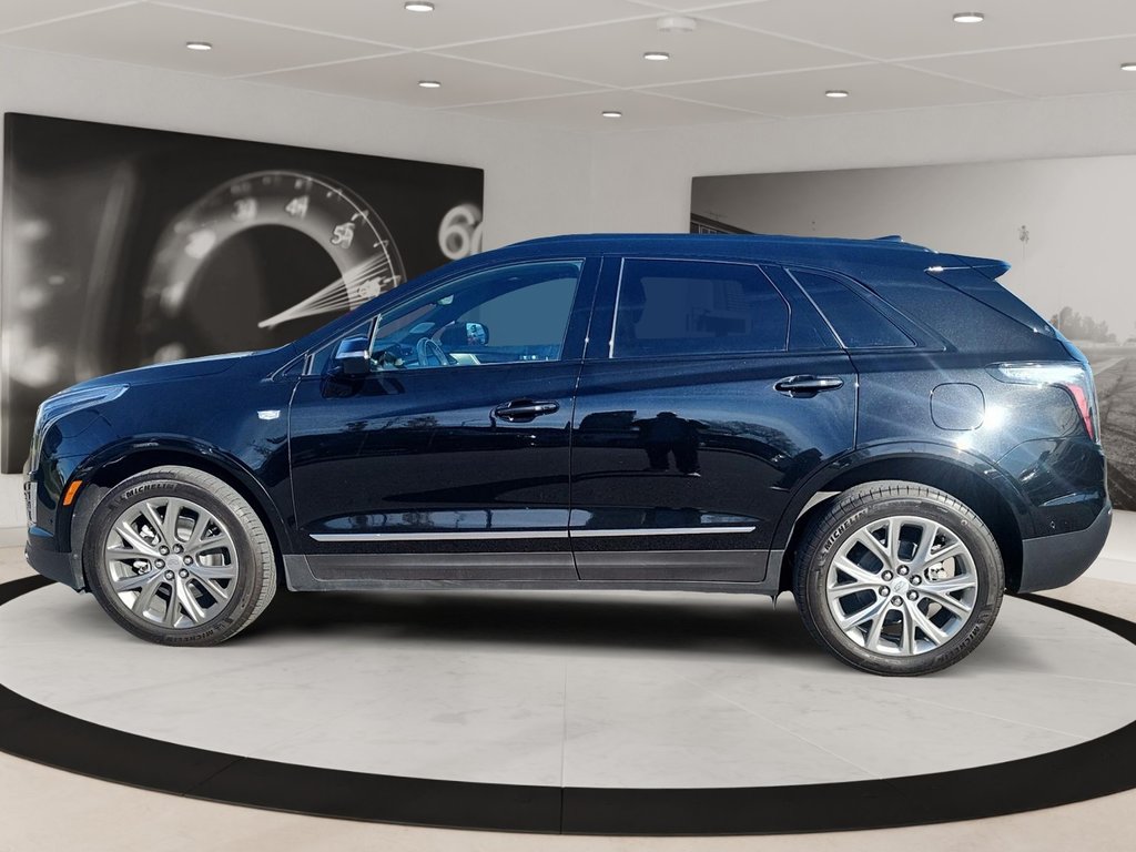 2021 Cadillac XT5 in Quebec, Quebec - 5 - w1024h768px