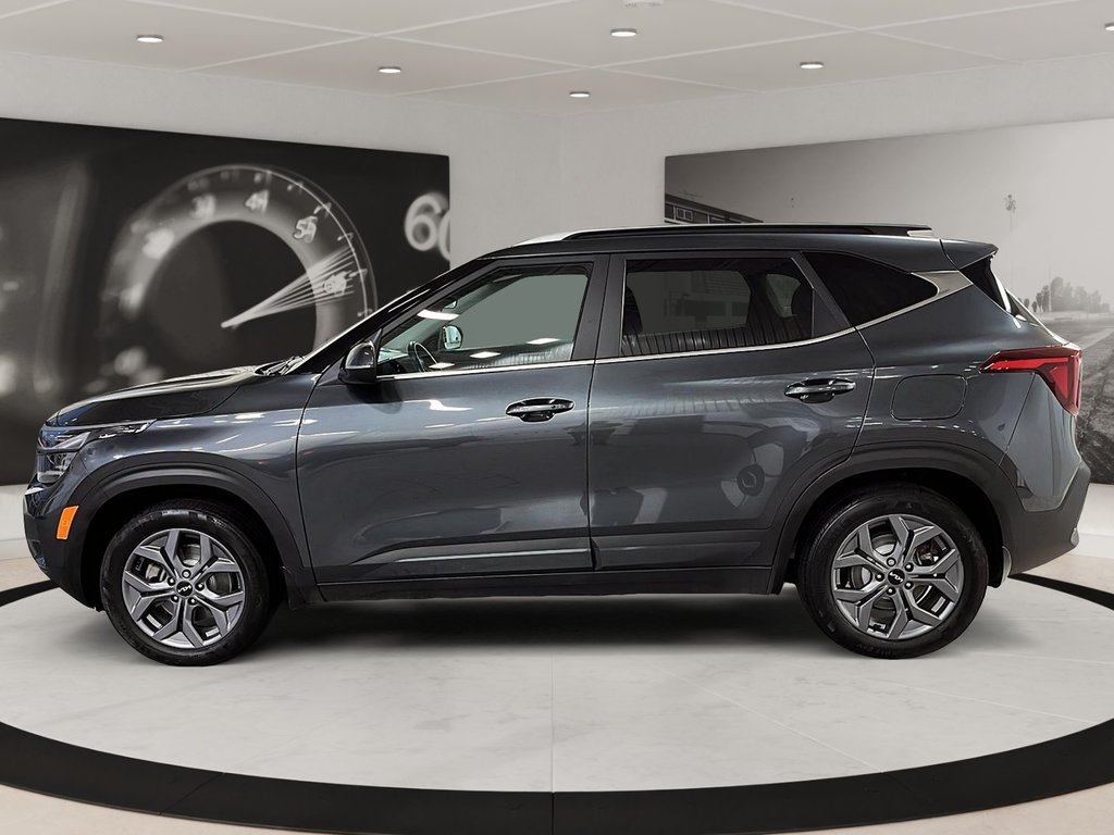 2024 Kia SELTOS in Quebec, Quebec - 5 - w1024h768px