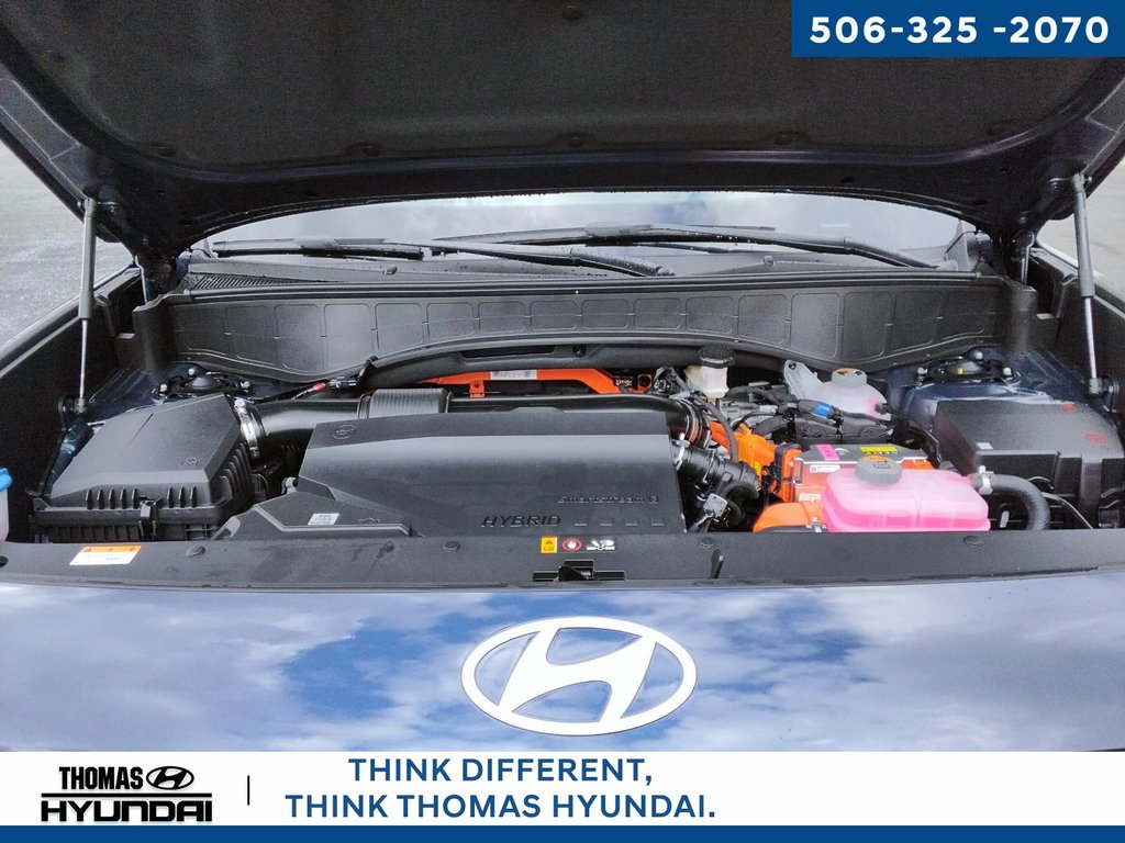 2026 Hyundai Palisade Hybrid Luxury in Woodstock, New Brunswick - 13 - w1024h768px