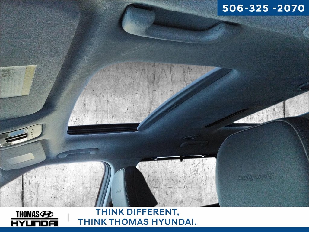 2026 Hyundai Palisade Hybrid Ultimate Calligraphy NHL Special Edition in Woodstock, New Brunswick - 38 - w1024h768px