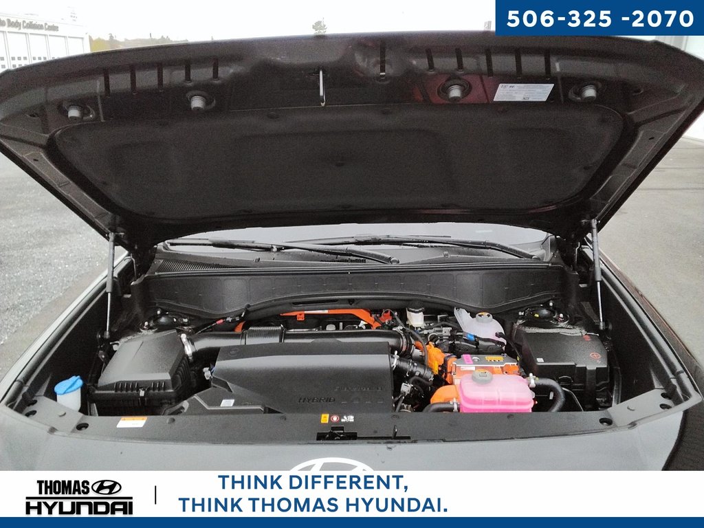 2026 Hyundai Palisade Hybrid Luxury in Woodstock, New Brunswick - 15 - w1024h768px