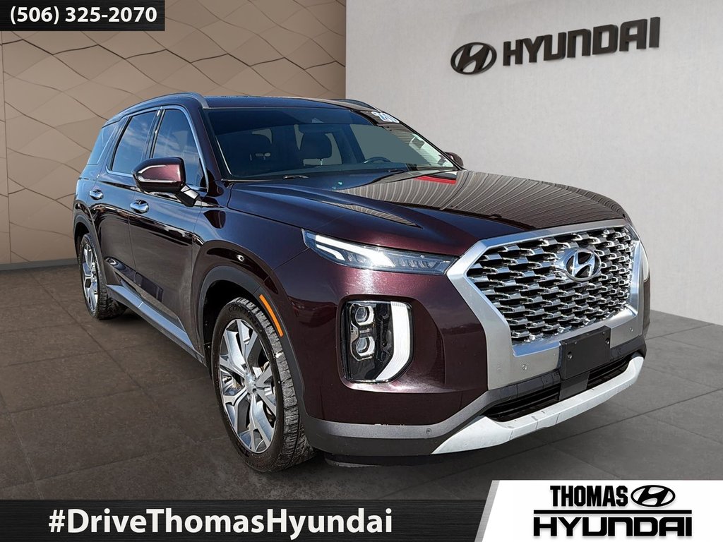 2020 Hyundai Palisade Luxury in Woodstock, New Brunswick - 2 - w1024h768px
