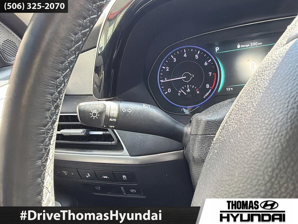 2020 Hyundai Palisade Luxury in Woodstock, New Brunswick - 27 - w1024h768px