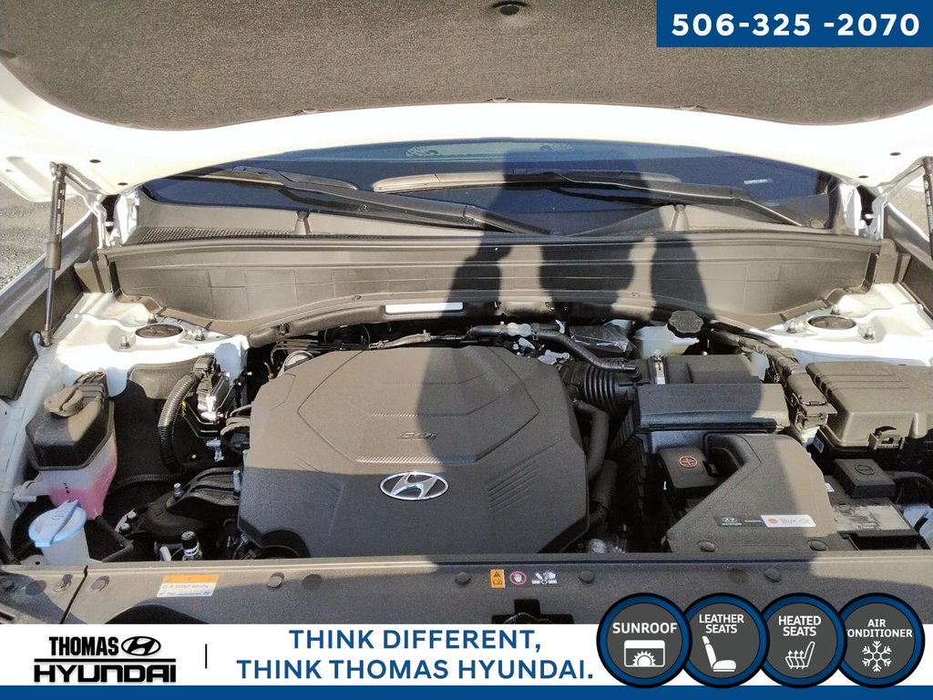 2025 Hyundai Palisade Urban in Woodstock, New Brunswick - 13 - w1024h768px