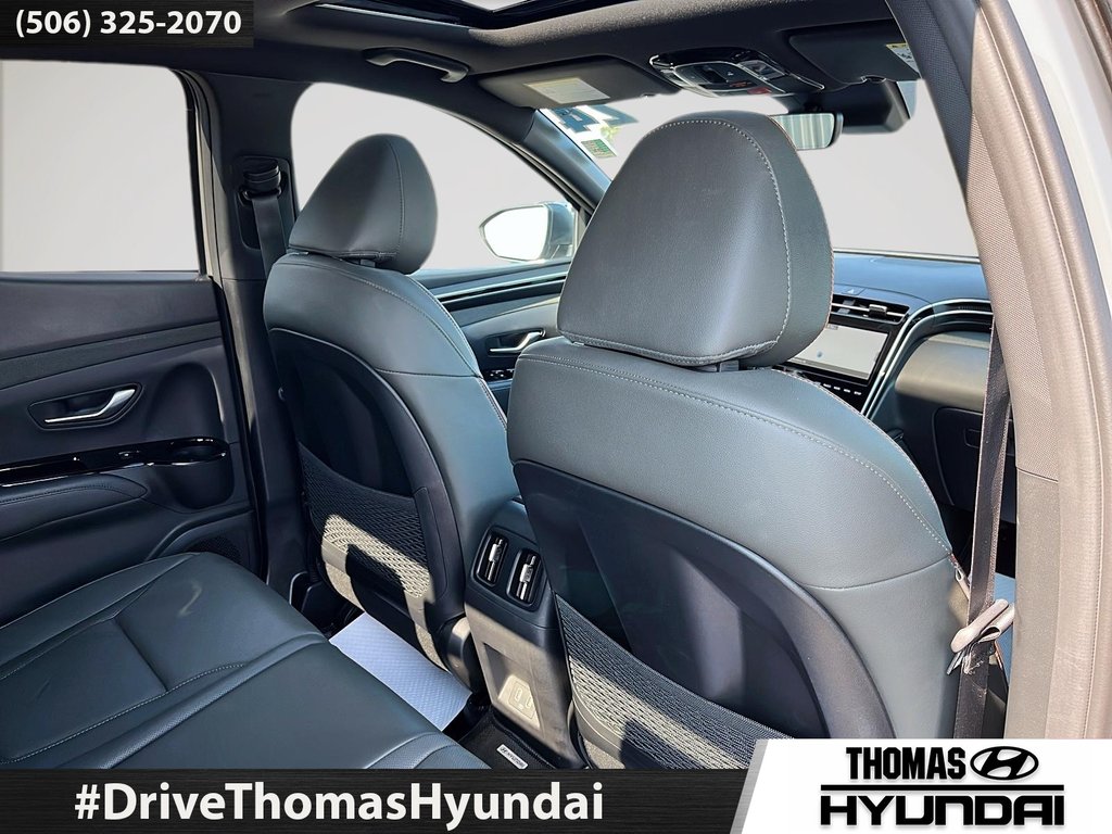 Hyundai Santa Cruz Ultimate 2024 à Woodstock, Nouveau-Brunswick - 43 - w1024h768px