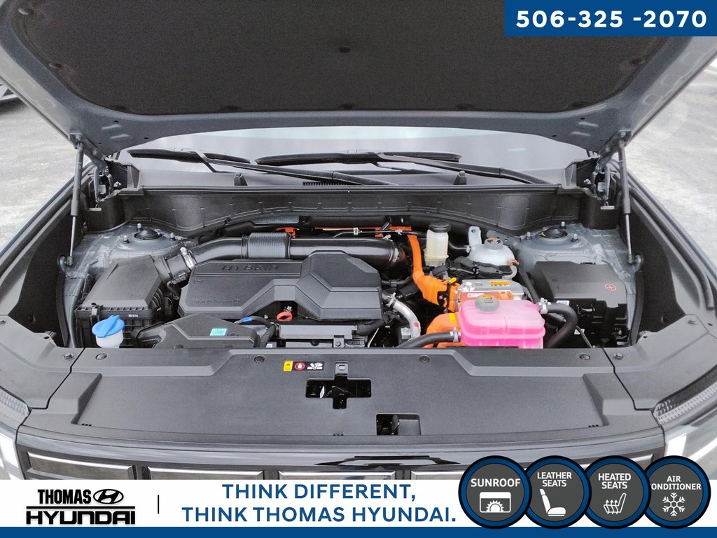 2025 Hyundai Santa Fe Hybrid Preferred with Trend in Woodstock, New Brunswick - 14 - w1024h768px