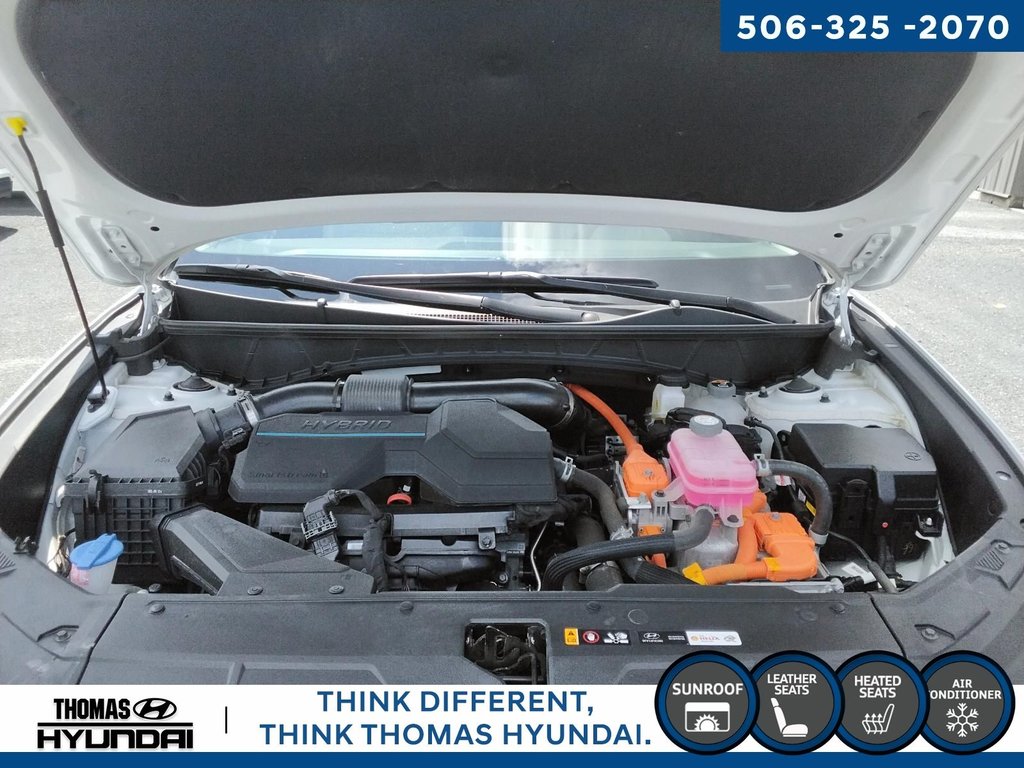 2022 Hyundai Tucson Hybrid Luxury in Woodstock, New Brunswick - 14 - w1024h768px