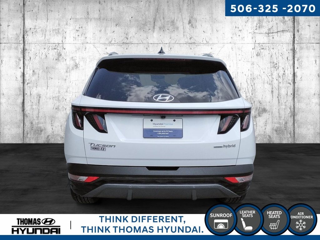 2022 Hyundai Tucson Hybrid Luxury in Woodstock, New Brunswick - 4 - w1024h768px