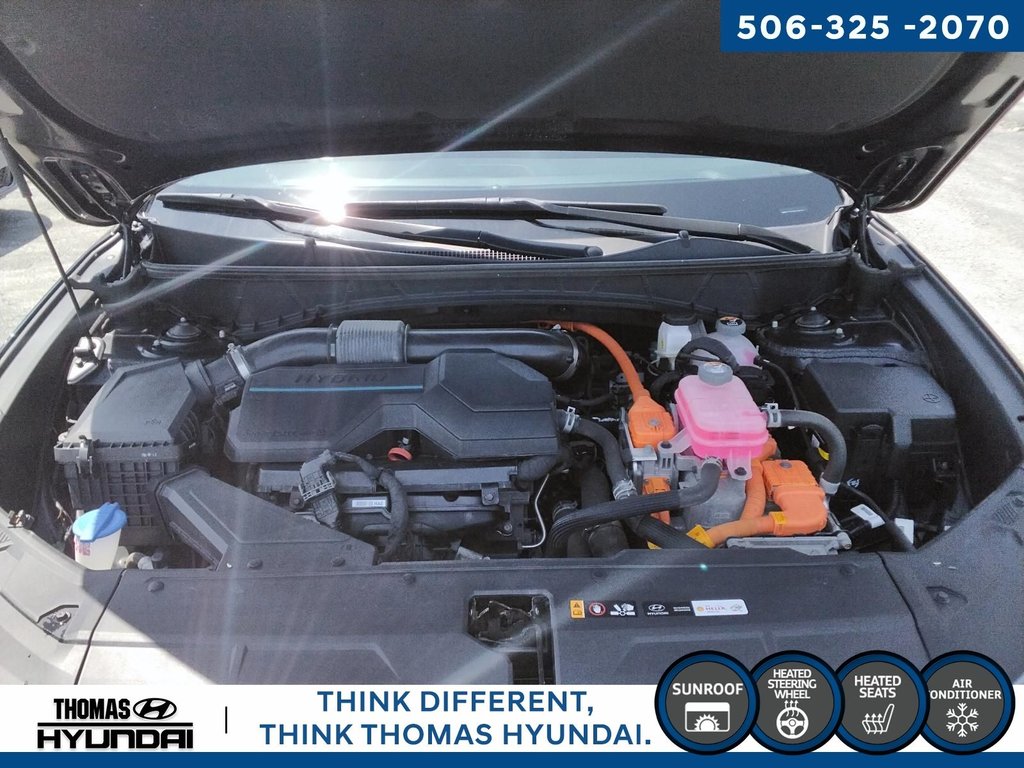 2024 Hyundai Tucson Hybrid N-Line in Woodstock, New Brunswick - 14 - w1024h768px