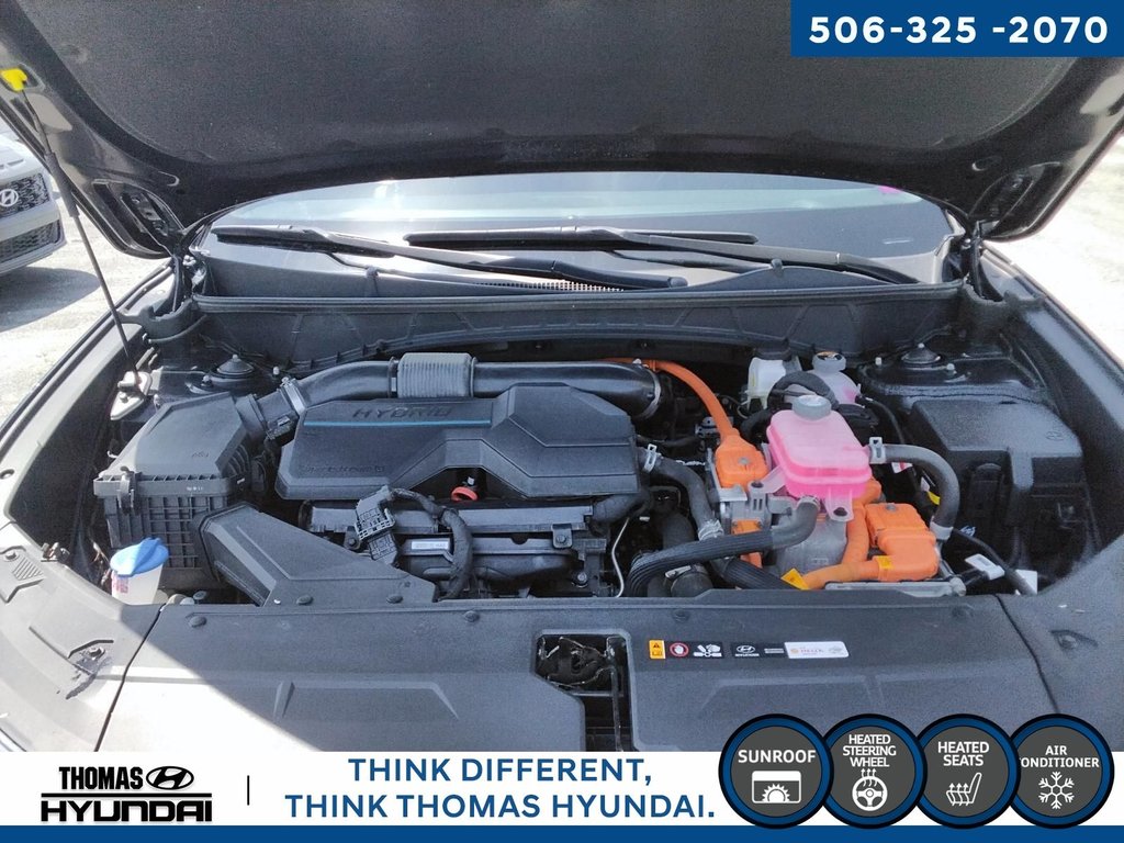 2024 Hyundai Tucson Hybrid N-Line in Woodstock, New Brunswick - 13 - w1024h768px