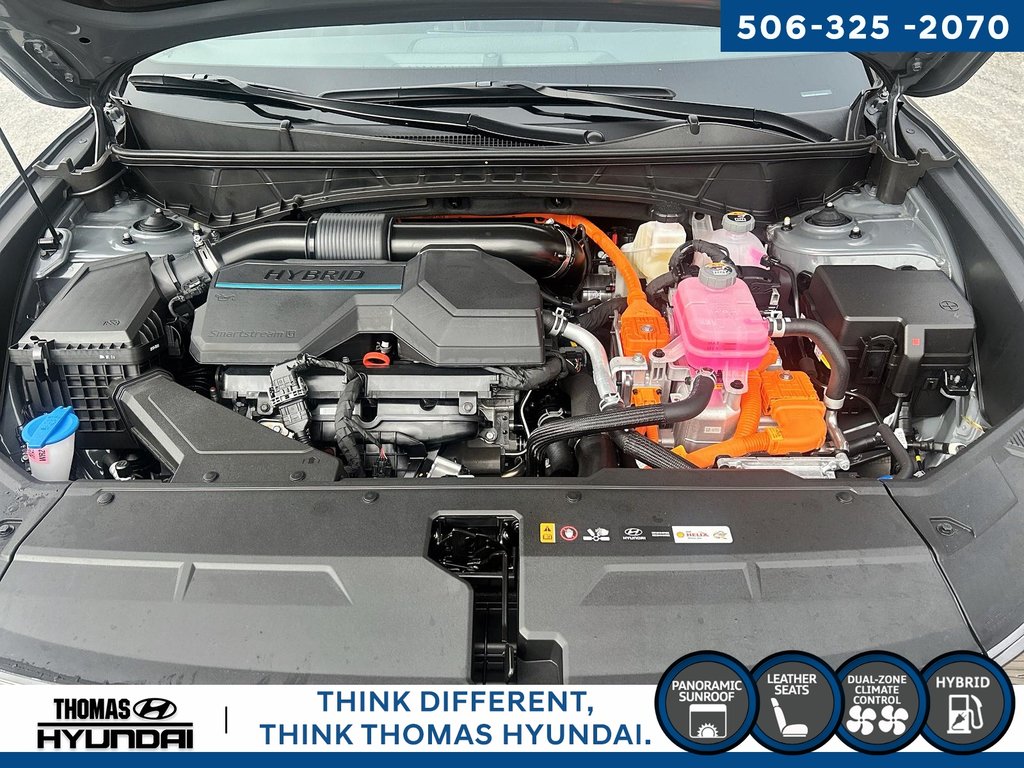 2025  Tucson Hybrid N-Line in Woodstock, New Brunswick - 9 - w1024h768px