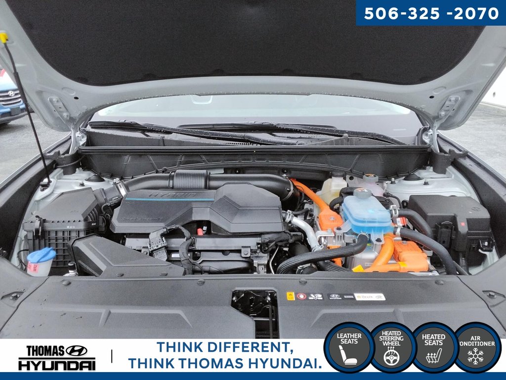 2025 Hyundai Tucson Plug-In Hybrid Ultimate in Woodstock, New Brunswick - 13 - w1024h768px