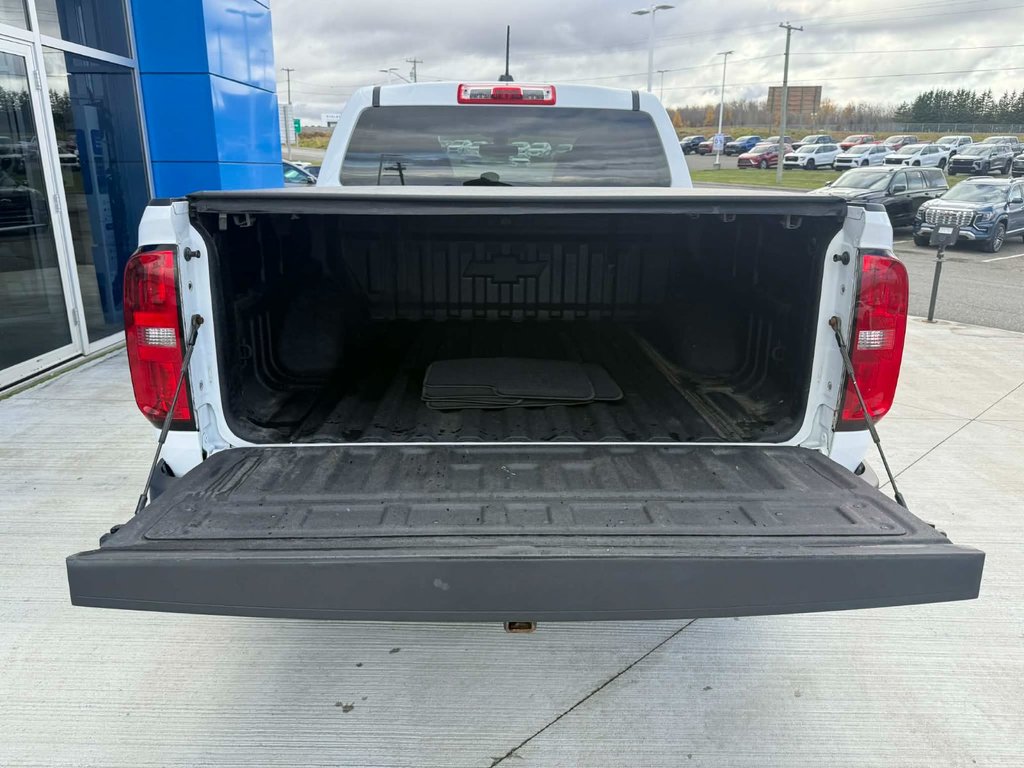 2019 Chevrolet Colorado 4WD Work Truck in Grand Falls, New Brunswick - 6 - w1024h768px
